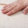 มาใหม่ล่าสุดสีทึบหรูหรา LOOP Pile MAT กำมะหยี่ล้างทำความสะอาดพรมพรมกันน้ำห้องนั่งเล่นพรม